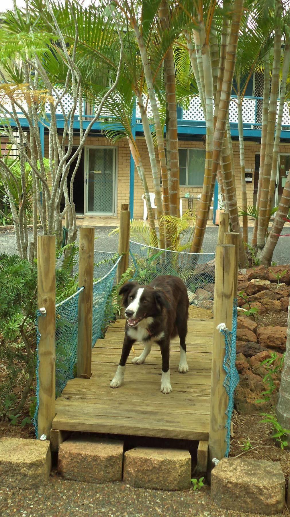 Tin Can Bay Motel Exterior foto